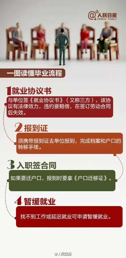 2024新奥天天资料免费大全|尊师释义解释落实,关于新奥天天资料免费大全与尊师释义的深入解读与实施策略的文章