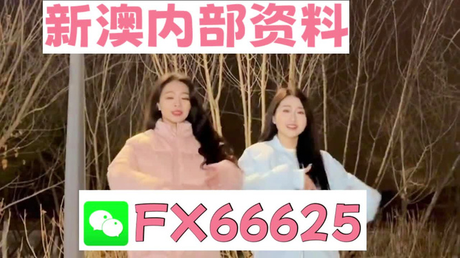 管家婆一码一肖100中奖71期|连贯释义解释落实,管家婆一码一肖与中奖71期，连贯释义、解释与落实